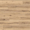 Ламинат Haro Tritty 100 4V ДУБ ИТАЛИКА КРЕМОВЫЙ 538920  | FLOORDEALER